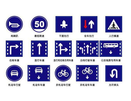 交通標(biāo)志與安全用語概覽
