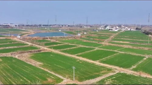 陳集鎮(zhèn) 順勢(shì)而為 趁勢(shì)而上 聚力打造工業(yè)強(qiáng)鎮(zhèn)農(nóng)業(yè)大鎮(zhèn)旅游新鎮(zhèn)丨強(qiáng)村富民美鄉(xiāng)村 激活鄉(xiāng)村振興 源頭水