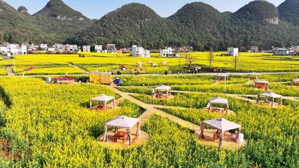 羅平:百萬(wàn)畝油菜花海催生 “花漾” 經(jīng)濟(jì) 鋪就農(nóng)文旅融合致富路