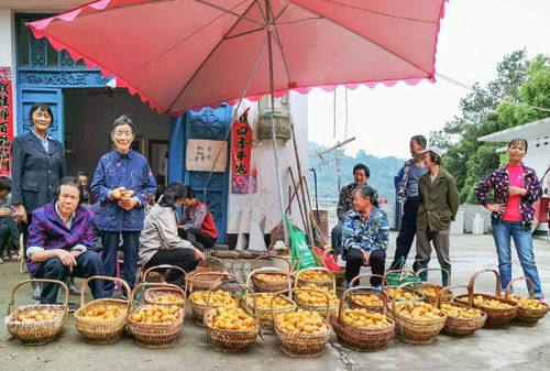 線(xiàn)上 線(xiàn)下多渠道助銷(xiāo) 黃山旅游 公益助農(nóng)顯擔(dān)當(dāng)