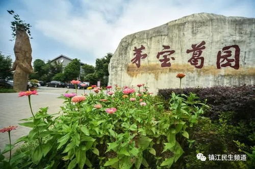 多項(xiàng)產(chǎn)品被列入國(guó)家星火計(jì)劃,鎮(zhèn)江這個(gè)旅游示范點(diǎn)厲害了