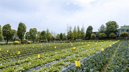 射陽(yáng)港經(jīng)濟(jì)開發(fā)區(qū)重推園區(qū)農(nóng)業(yè)產(chǎn)業(yè)園建設(shè)