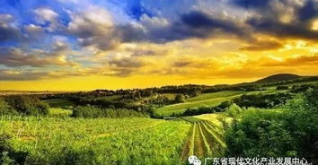 文化 農(nóng)業(yè) 旅游 一場(chǎng)農(nóng)業(yè)文旅小鎮(zhèn)大爆炸