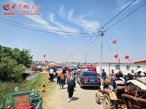 發(fā)展綠色生態(tài)農業(yè) 推進鄉(xiāng)村旅游發(fā)展 陳莊鎮(zhèn)第五屆臨合蜜采摘節(jié)活動盛大開幕