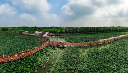 鄆城將建一批濕地公園、景點!