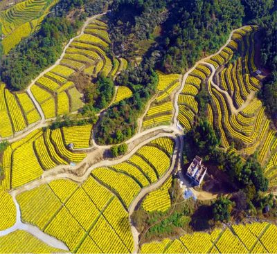 宜春明月山溫湯鎮(zhèn):在鄉(xiāng)村振興路上走出新“硒”望