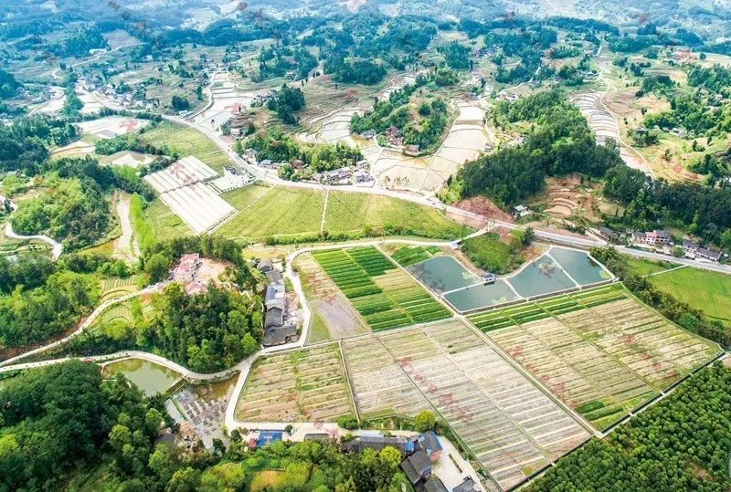 南川!南川!相生相伴,我越來越愛你…