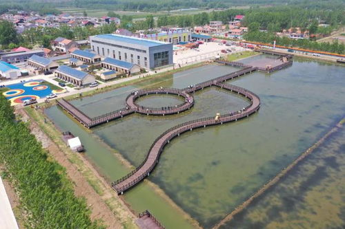 贛榆城頭鎮(zhèn)稻蝦基地和連棟大棚建設(shè)項(xiàng)目中標(biāo),生態(tài)農(nóng)業(yè)旅游新發(fā)展