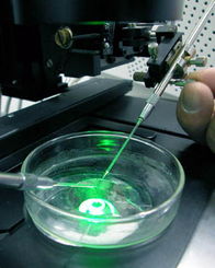 2021年中國生物技術(shù)開發(fā) 創(chuàng)新驅(qū)動(dòng)與產(chǎn)業(yè)升級(jí)的新篇章